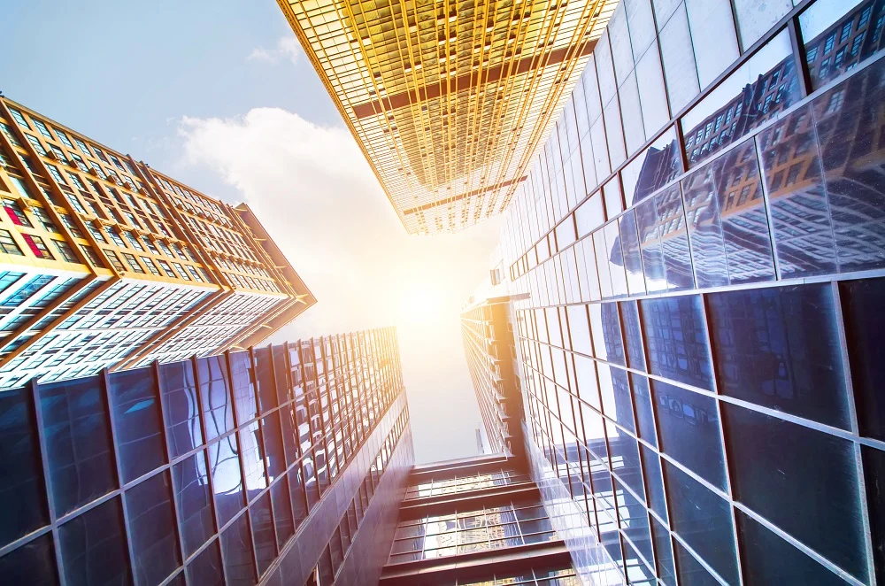 "Corporations vested with public interests" under the Revised Corporation Code of the Philippines